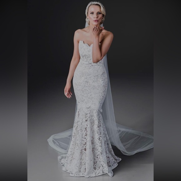 Lace Wedding Dress - Picture 5 of 7